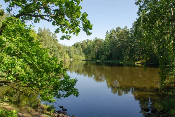 Waldsee Zwischen Grünen Bäumen Sonnigen Sommertagen Das Konzept Der Entspannung — Stockfoto