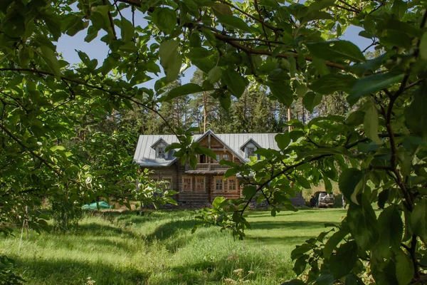 Wooden House Pine Forest Summer Sunny Day Photo Branches Trees —  Fotos de Stock