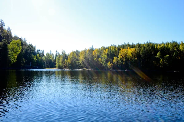 Waldlandschaft Eines Sees Mit Blauem Ruhigem Wasser Einem Klaren Sonnigen — Stockfoto