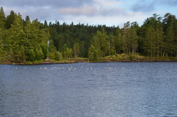 Schöner Wald See Karelien Horizontales Foto Der Ruhigen Natur Ruhiger — Stockfoto