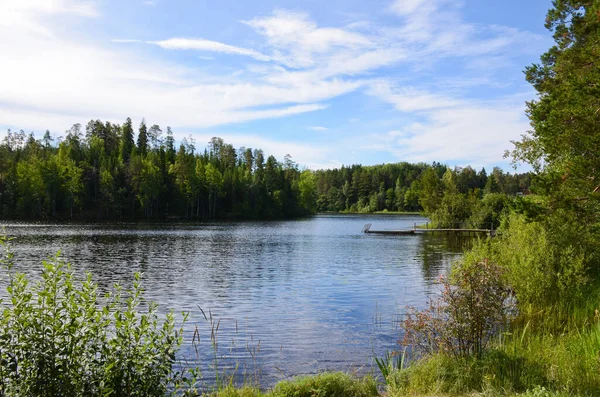 Innere See Wald Einem Klaren Tag Horizontale Foto Der Schönen — Stockfoto