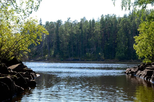 Pequeno Rio Com Bancos Pedra Flui Para Lago Florestal Floresta — Fotografia de Stock