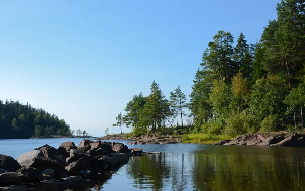 Calm Lake Water Clear Sky Green Forest Shore While Walking — Stock Photo, Image