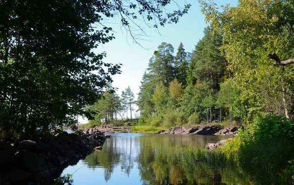 Wald Rand Des Stausees Ruhiges Wasser Und Klarer Himmel Beim — Stockfoto