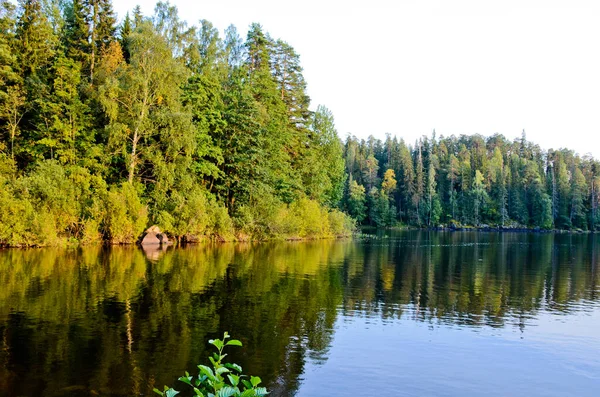 Árboles Otoño Orilla Lago Forestal Hermosa Foto Horizontal Otoño — Foto de Stock