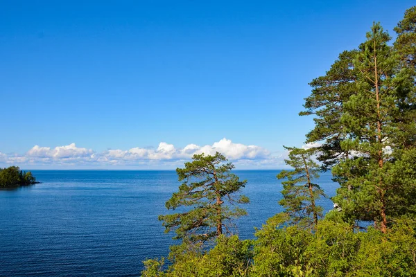 Beautiful View Lake White Clouds Blue Sky Green Pines Foreground — Stock Photo, Image