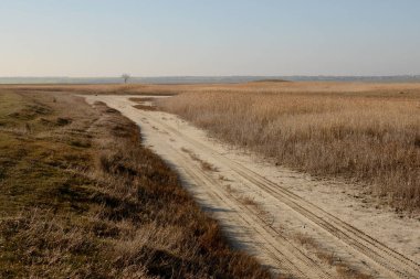 Kuru otların arasında boş kırsal yol