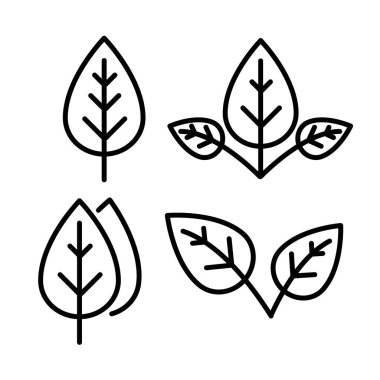 Leaf icon set : vector