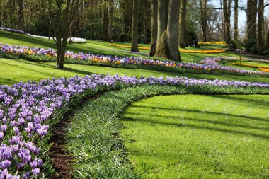 renkli keukenhof Bahçe