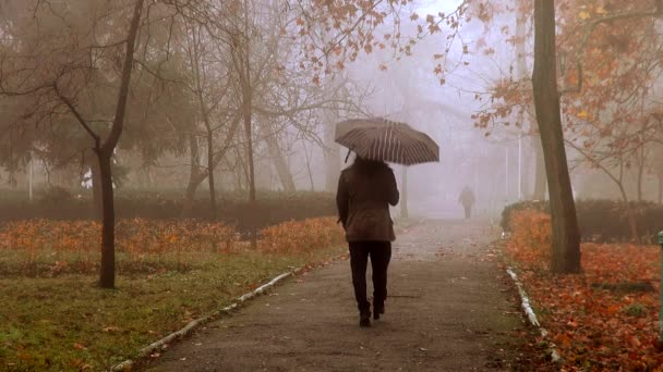 Девушка с зонтиком возвращается в осенний переулок в тумане, туман, туман, осень, ночь — стоковое видео