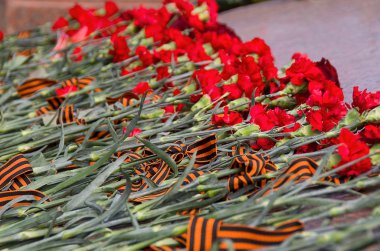 May 9 Victory Day, Red carnations, День Победы