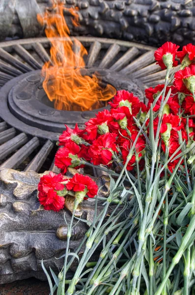 9 de mayo Día de la Victoria, Claveles Rojos y Llama Eterna — Foto de Stock