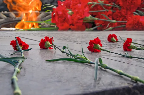 May 9 Victory Day, Red carnations and eternal flame, День Победы — Stock Photo, Image