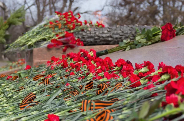 May 9 Victory Day, Red carnations, День Победы — Stock Photo, Image