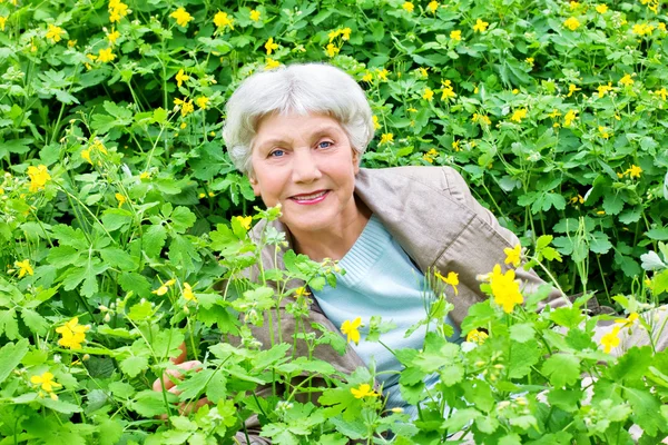 Mulher idosa bonita feliz sentada em uma clareira de flowe amarelo — Fotografia de Stock