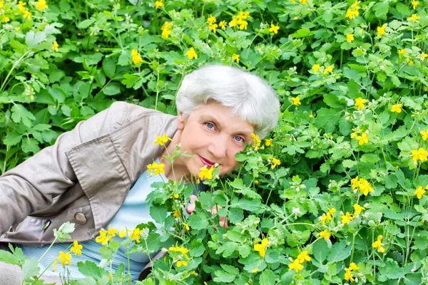 Mulher idosa bonita feliz sentada em uma clareira de flowe amarelo — Fotografia de Stock