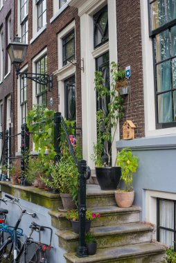 Yazın Amsterdam 'da çiçekli veranda ve pencere 