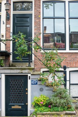 Yazın Amsterdam 'da çiçekli veranda ve pencere 