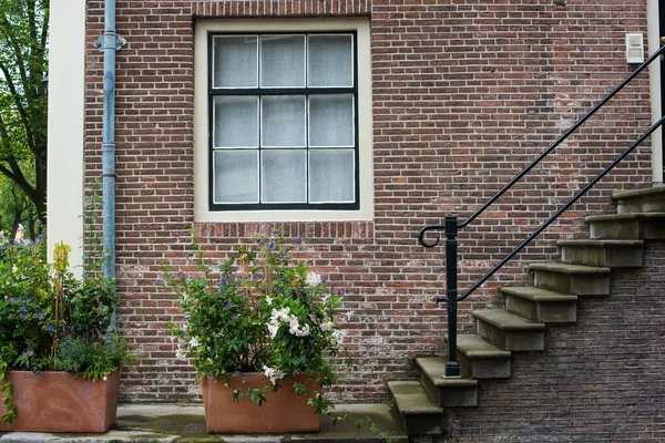 Veranda Okno Květinami Létě Amsterdam — Stock fotografie