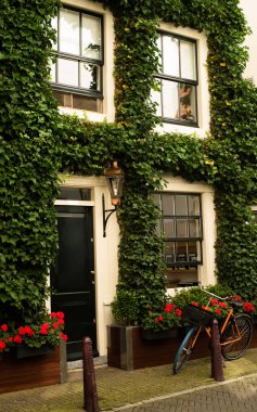 Yeşil sarmaşıklı eski tuğla ev