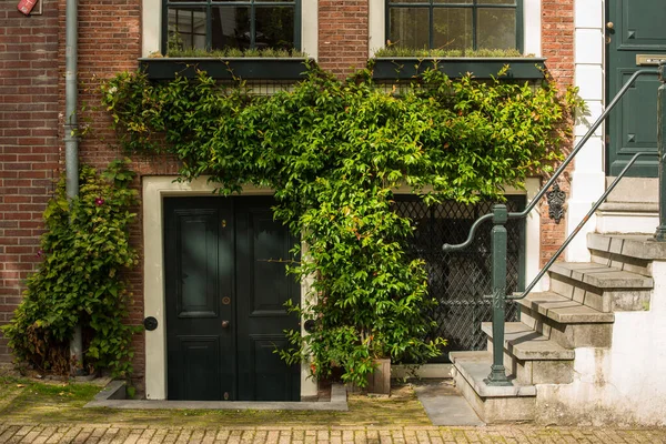 Oud Bakstenen Huis Met Groene Klimop — Stockfoto