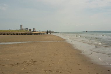 Kuzey Denizi 'nin boş kumsalı