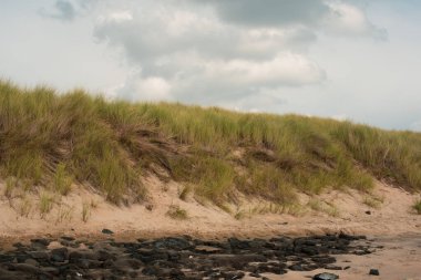 Kumsaldaki kum tepeleri