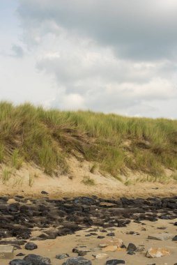 Kumsaldaki kum tepeleri