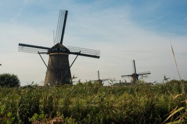 Hollanda 'da yel değirmeni