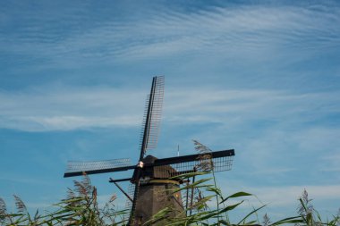 Hollanda 'da yel değirmeni