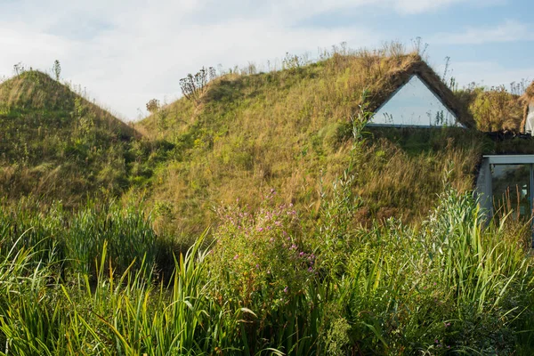 草の屋根の上の家 — ストック写真