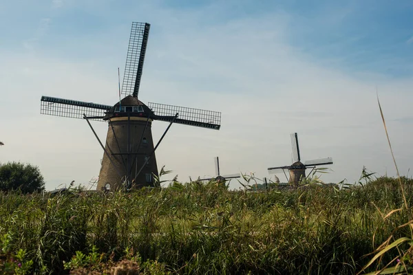 Hollanda 'da yel değirmeni