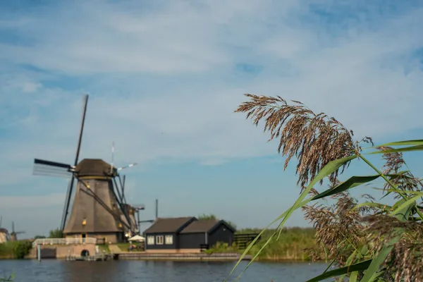 Hollanda Yel Değirmeni — Stok fotoğraf