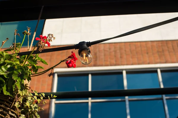 ストリートカフェの電気ランプは — ストック写真