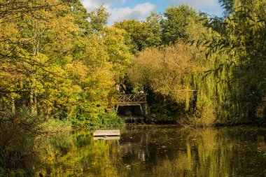Amsterdam 'da parkta sonbahar