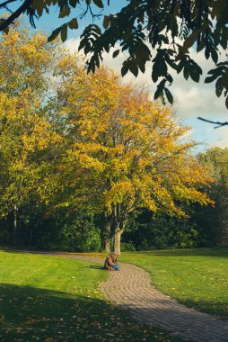 Amsterdam 'da parkta sonbahar