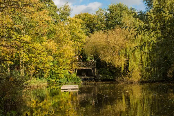 Otoño Parque Amsterdam — Foto de Stock