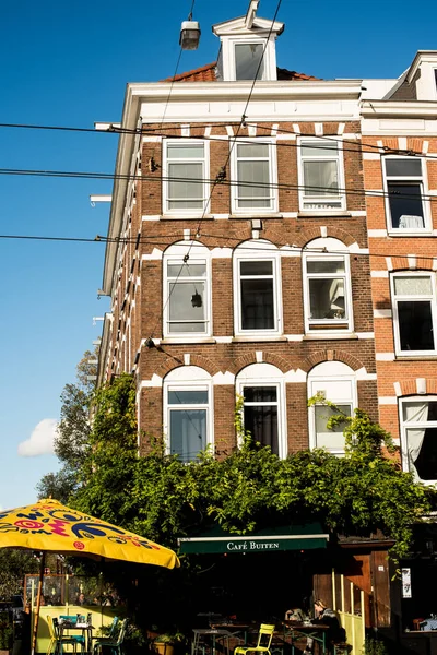 Klimplant Het Oude Huis Amsterdam — Stockfoto