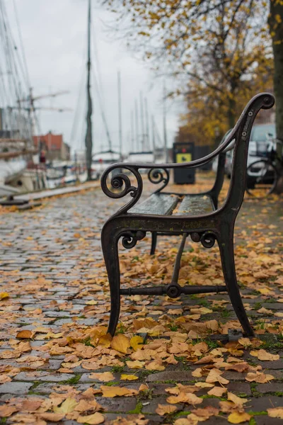 Banc Dans Parc Automne — Photo