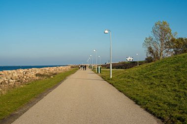 Sabah kumsaldaki yolda.