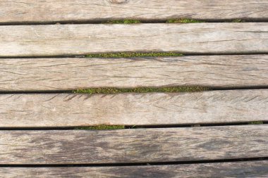 eski hafif ahşap doku arkaplanı 