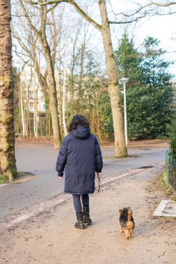 person walking with dog in the park