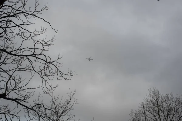 Liten Plan Den Blå Himlen — Stockfoto