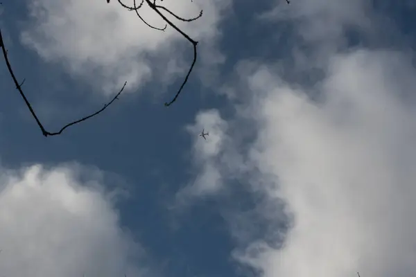 Piccolo Aereo Nel Cielo Blu — Foto Stock