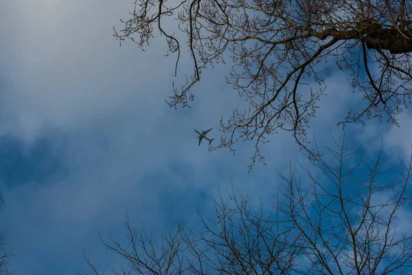 Liten Plan Den Blå Himlen — Stockfoto