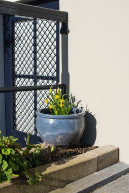 Verandadaki saksılarda çiçekler