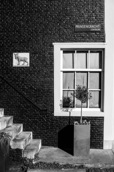 Okno Domu Princengracht Amsterdam — Zdjęcie stockowe