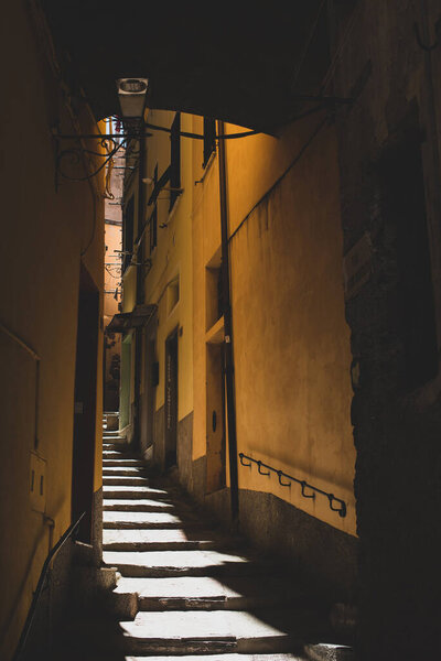 Narrow street of the city Vernazza