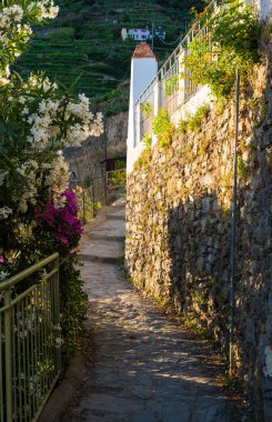 street  of the city Vernazza, Italy