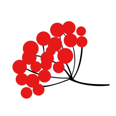 Vektör çizimi. Guelder beyaz arka planda izole gül.